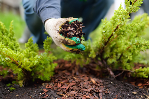 What Type Of Services Do Landscapers Provide?