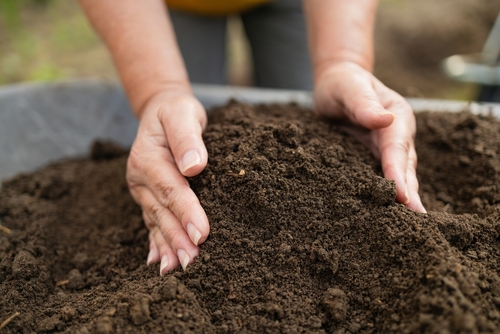 Importance of Soil Testing Improving Garden Health