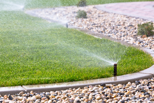 Watering and Irrigation for a Healthy Landscape