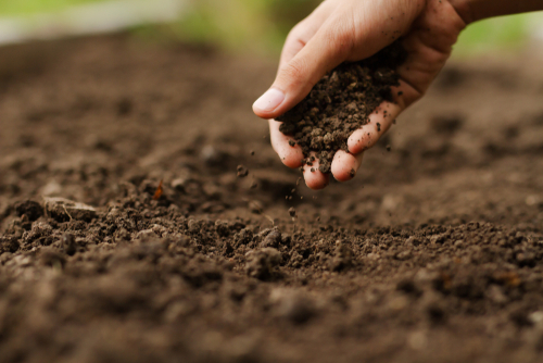 Soil Testing and Analysis