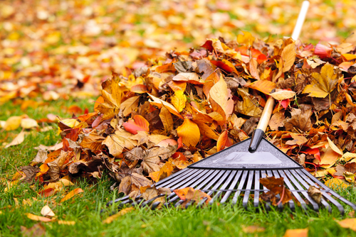 Maintaining a Clean and Healthy Environment